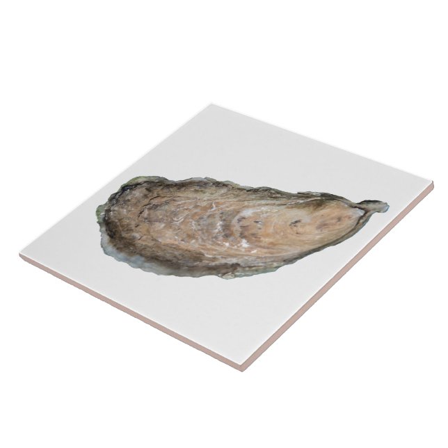 Azulejo da ostra - branco do design D (Lateral)