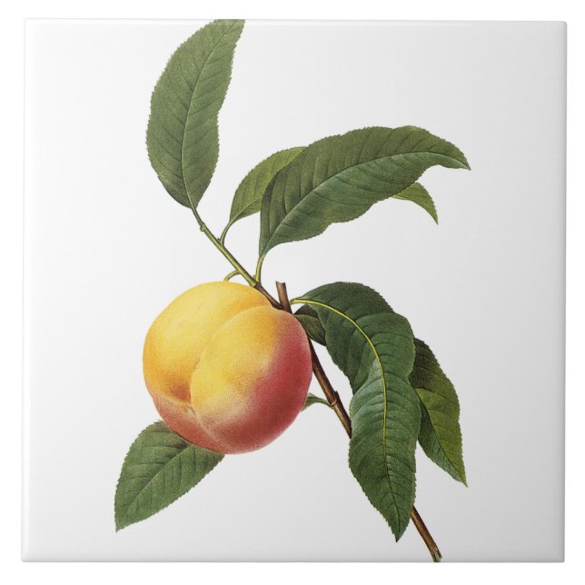 Azulejo da pintura do pêssego do vintage de (Frente)