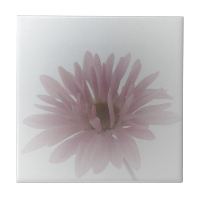 Azulejo Daisy Haze (Frente)