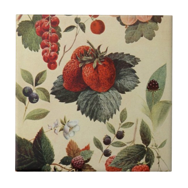 Azulejo das BAGAS das BAGAS (Frente)