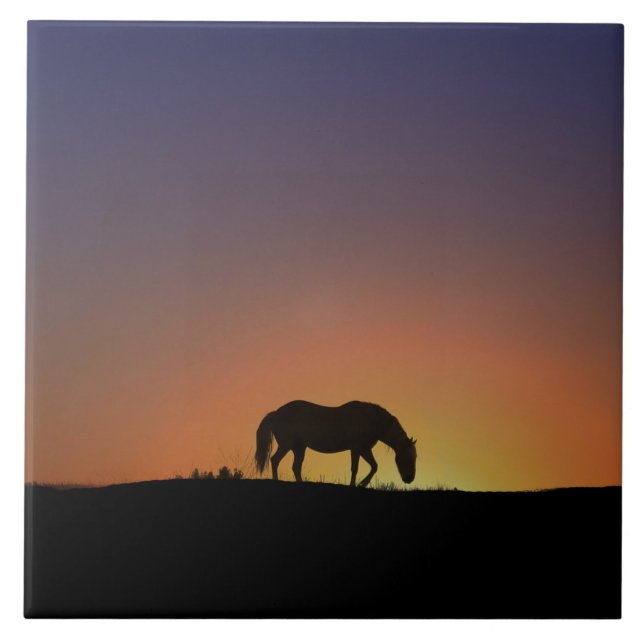 Azulejo de Arte de Cavalo Incrível (Frente)