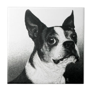 Azulejo de Boston Terrier - "Estilo de Boston"