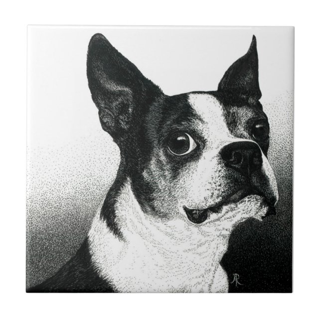 Azulejo de Boston Terrier - "Estilo de Boston" (Frente)