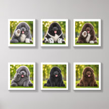 Azulejo de cachorro Newfie gorducho - Cole adesivo