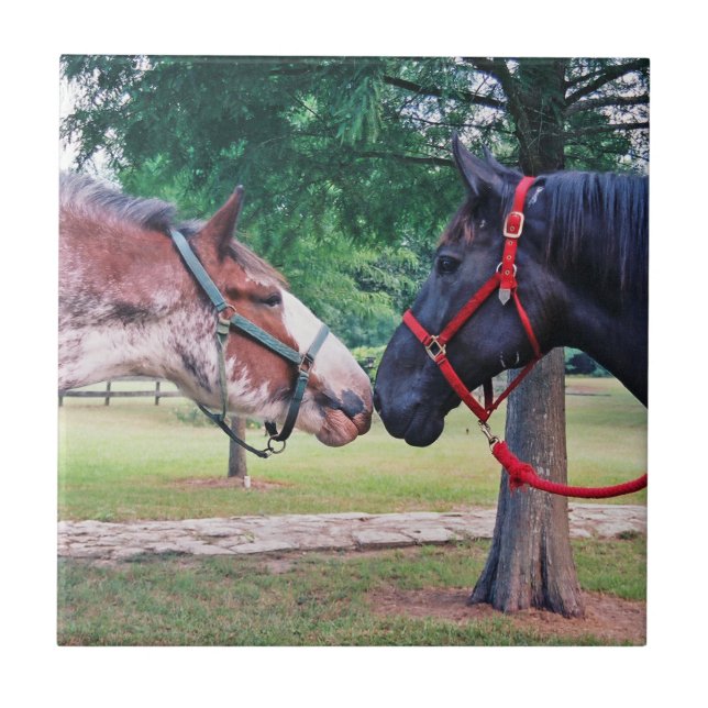 Azulejo de Cavalos de Rascunho (Frente)