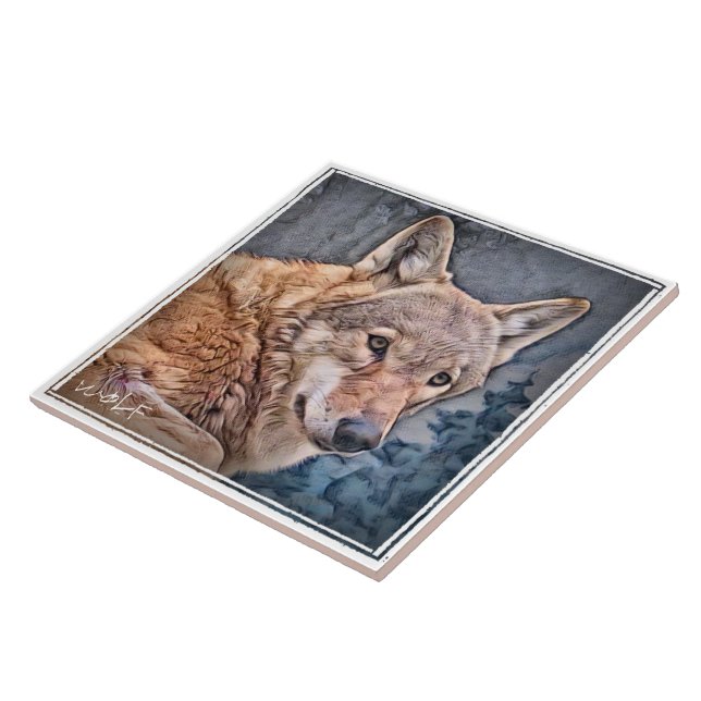 AZULEJO DE CERÂMICA  オオカミ タイル (Lateral)