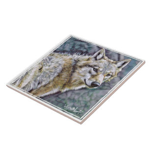 AZULEJO DE CERÂMICA オ オ カ ミ