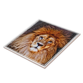 AZULEJO DE CERÂMICA ラ イ オ ン タ イ ル