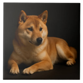 Azulejo De Cerâmica 柴犬ポートレート – Shiba Inu Art