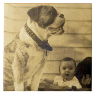 Azulejo De Cerâmica 1920 pitbull guarda bebê