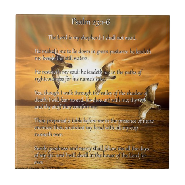 Azulejo De Cerâmica 23:1 do salmo - 6 o senhor Ser Meu Shepard (Frente)