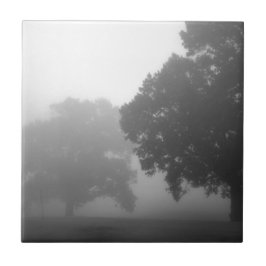 Azulejo De Cerâmica 3árvores