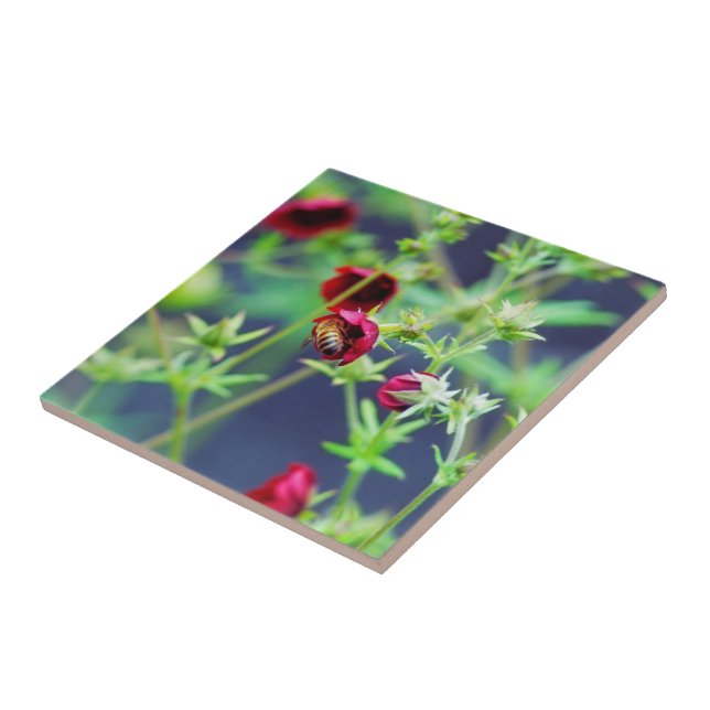 Azulejo De Cerâmica A Abelha Com a Flor Vermelha (Lateral)
