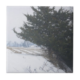 Azulejo De Cerâmica "A Artista da Agricultura"