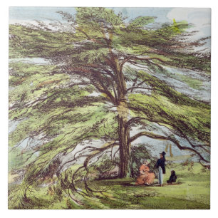 Azulejo De Cerâmica A árvore de cedro de Líbano no arboreto, Kew Gar