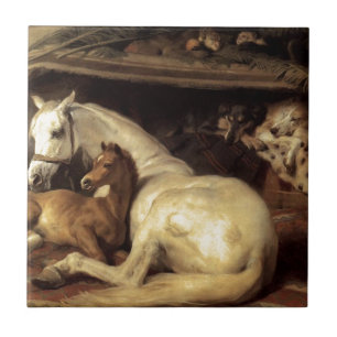 Azulejo De Cerâmica A barraca árabe por Edwin Henry Landseer
