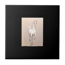 A Beleza do Poder. . .