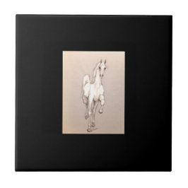 Azulejo De Cerâmica A Beleza do Poder. . .