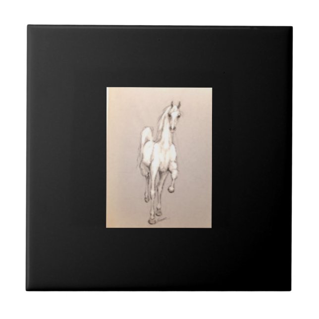 Azulejo De Cerâmica A Beleza do Poder. . . (Frente)