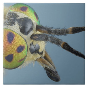 Azulejo De Cerâmica A cabeça dos cervos voa