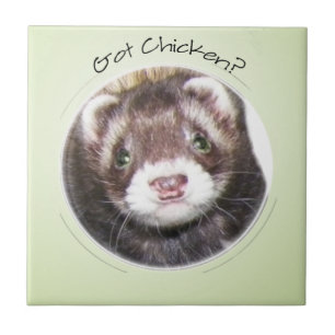 Azulejo De Cerâmica A Cara De Ferret Tem Frango?