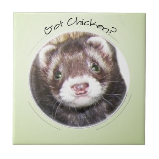 Azulejo De Cerâmica A Cara De Ferret Tem Frango?