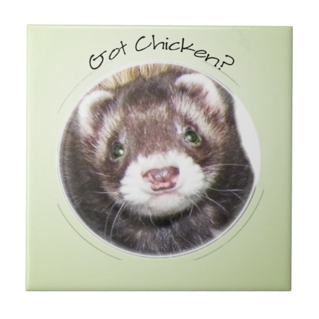Azulejo De Cerâmica A Cara De Ferret Tem Frango? (Frente)