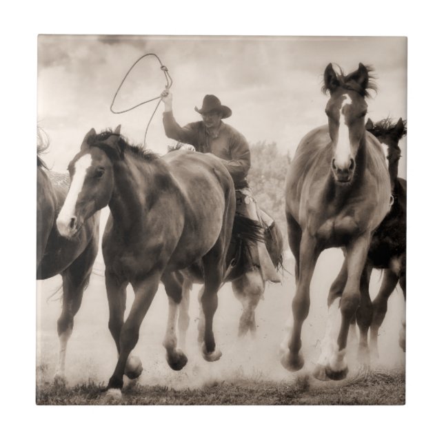 Azulejo De Cerâmica A Chase I (Frente)