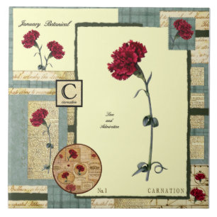 Azulejo De Cerâmica A flor de janeiro