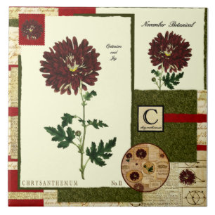 Azulejo De Cerâmica A flor de novembro