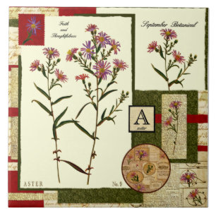 Azulejo De Cerâmica A flor de setembro