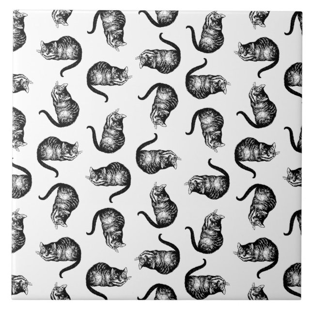 Azulejo De Cerâmica A Gata de Cheshire Alice no País das Maravilhas CO (Frente)