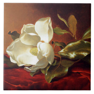 Azulejo De Cerâmica A Magnolia no Red Velvet,