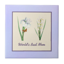 A melhor mãe do mundo irrises e borboleta em roxo