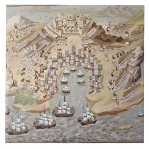 Azulejo De Cerâmica A opinião do Pássaro-Olho da piscina ocidental