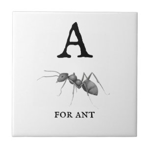 Azulejo De Cerâmica "A" para Ant