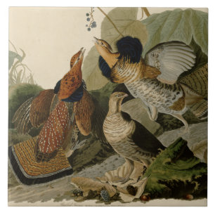 Azulejo De Cerâmica A pintura de Audubon de um trio do galo silvestre