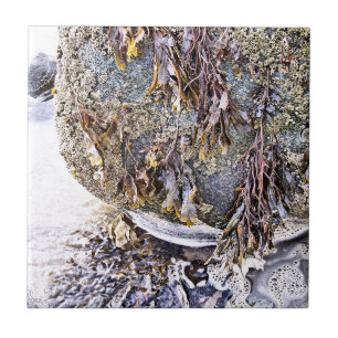 AZULEJO DE CERÂMICA  A PRAIA