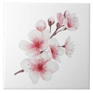 Azulejo De Cerâmica A Série Okinawa Design 30 