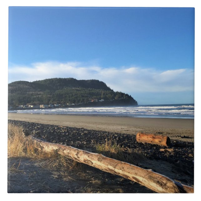 Azulejo De Cerâmica A Vaca em Seaside, Oregon (Frente)