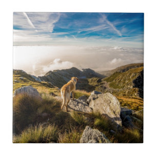 Azulejo De Cerâmica A viagem