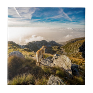 Azulejo De Cerâmica A viagem