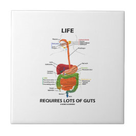 Azulejo De Cerâmica A vida exige lotes da entranhas (o sistema