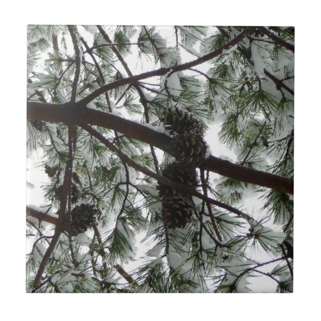 Azulejo De Cerâmica Abaixo da neve coberta pela árvore de pinheiro Fot (Frente)