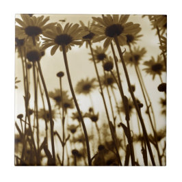 Azulejo De Cerâmica Abaixo das margaridas