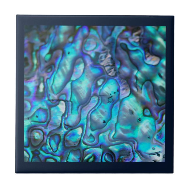 Azulejo de cerâmica Abalone/portal-copos (Frente)