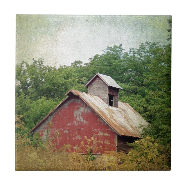 Azulejo De Cerâmica Abandonado e Supercultivado (Frente)