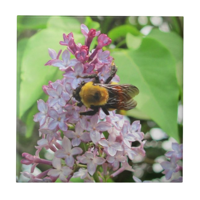 Azulejo De Cerâmica Abeja no Lilás (Frente)