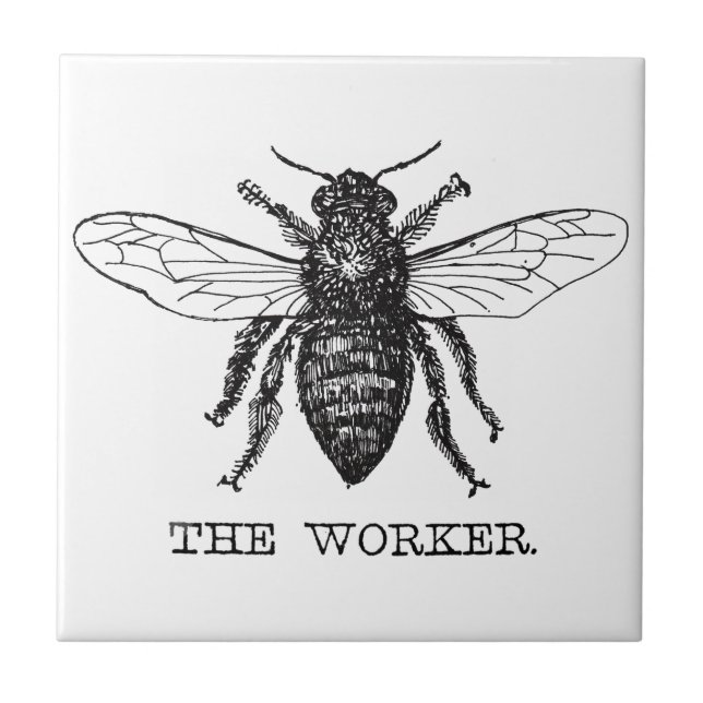 Azulejo De Cerâmica Abeja Trabalhadora Mel Abelha Preta (Frente)