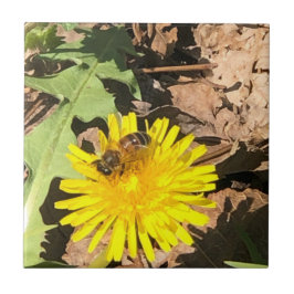 Azulejo De Cerâmica Abelha